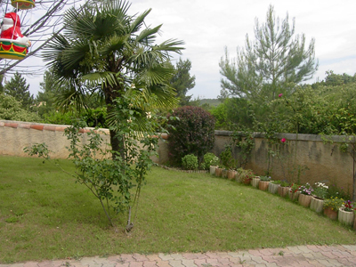 jardin