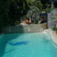 picine